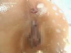 Asian student hunts for dog's weenie